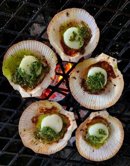 Grilled Sea Scallops with Salsa Verde